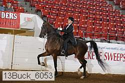 13buck_6053 proof