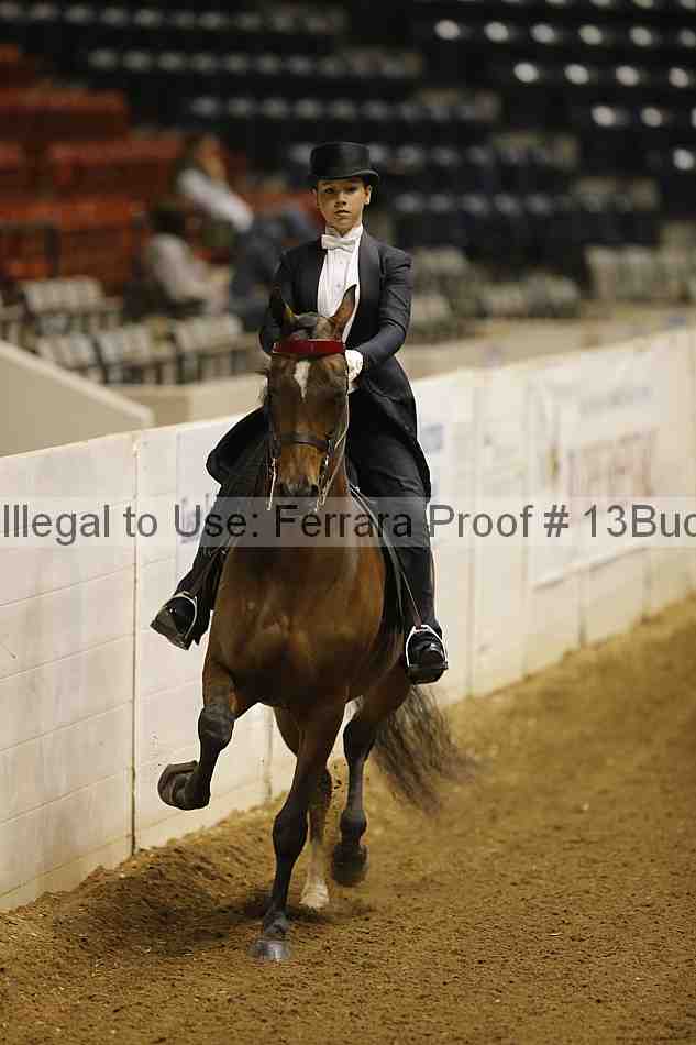 Proof 13buck_6054