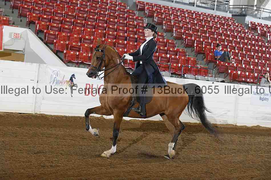 Proof 13buck_6055