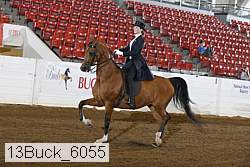 13buck_6055 proof