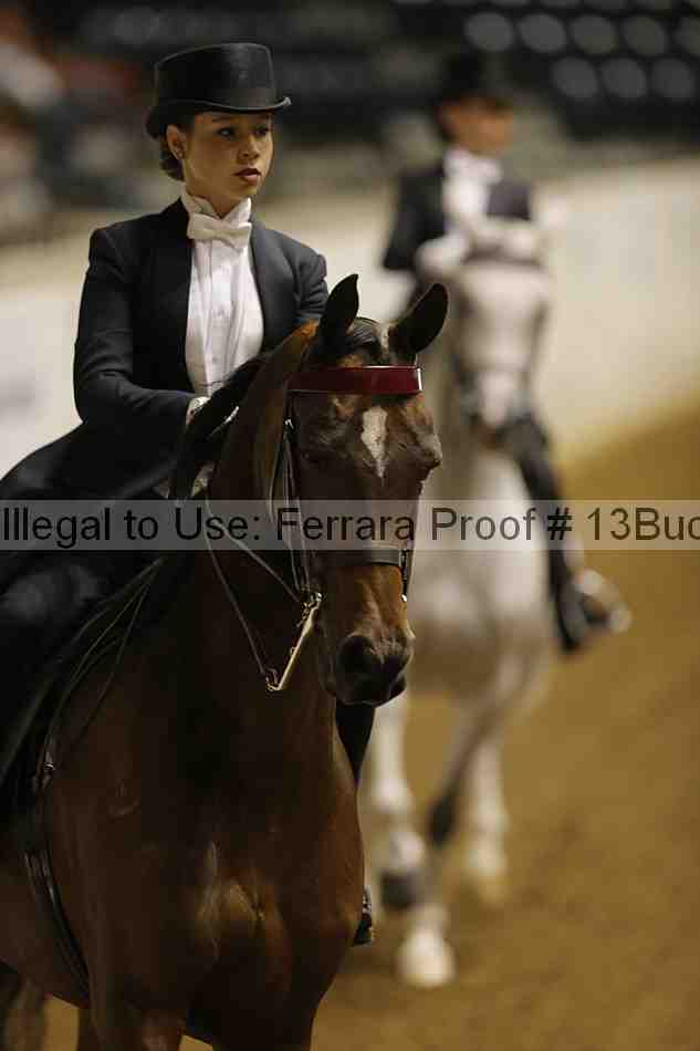 Proof 13buck_6058