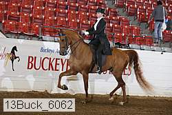 13buck_6062 proof