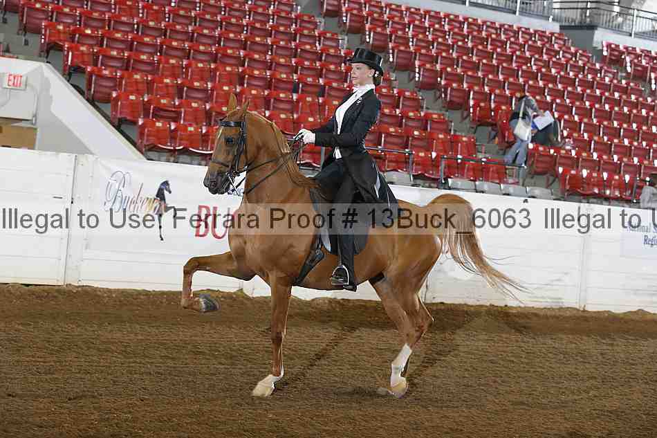 Proof 13buck_6063