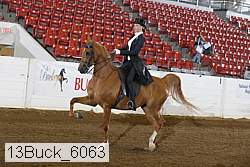 13buck_6063 proof