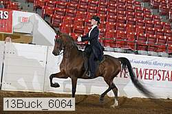 13buck_6064 proof