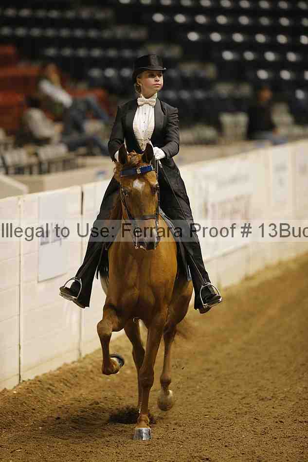 Proof 13buck_6065