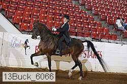13buck_6066 proof