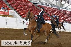 13buck_6068 proof