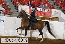 13buck_6069 proof