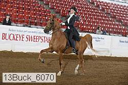 13buck_6070 proof