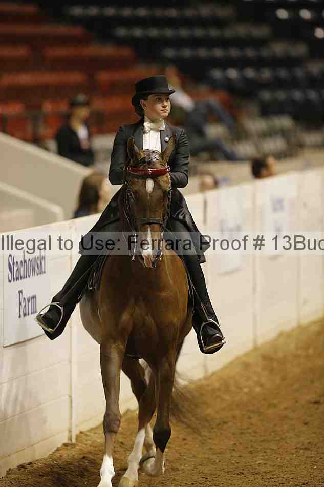 Proof 13buck_6071