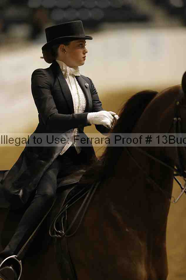 Proof 13buck_6073