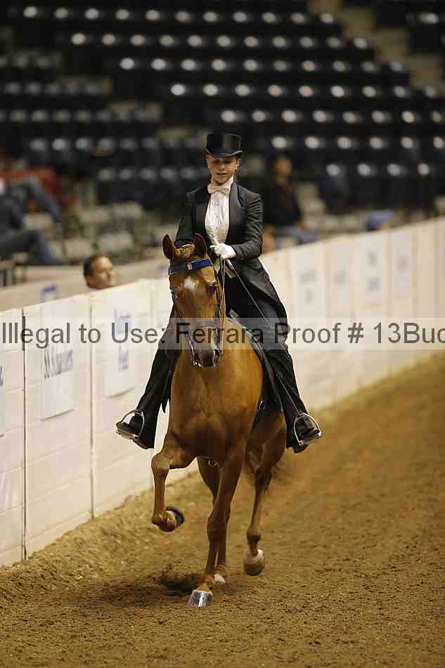 Proof 13buck_6079