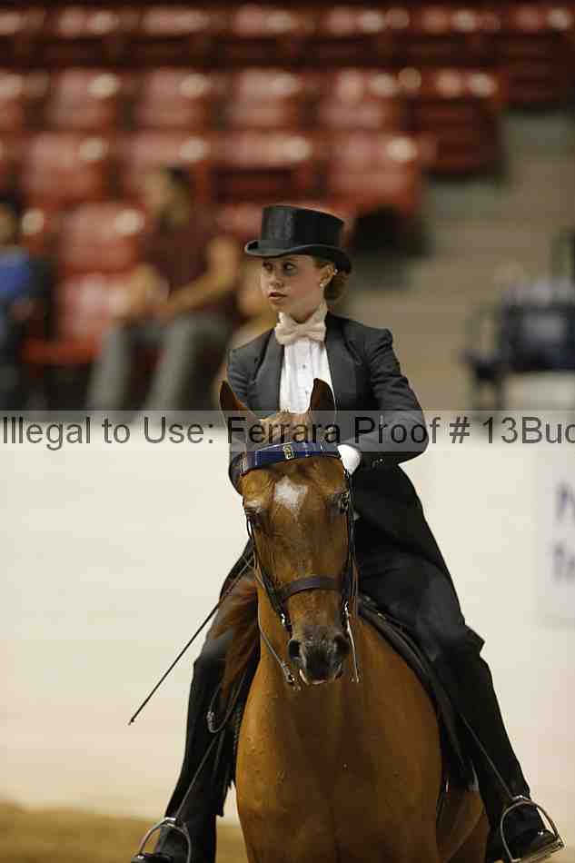 Proof 13buck_6087