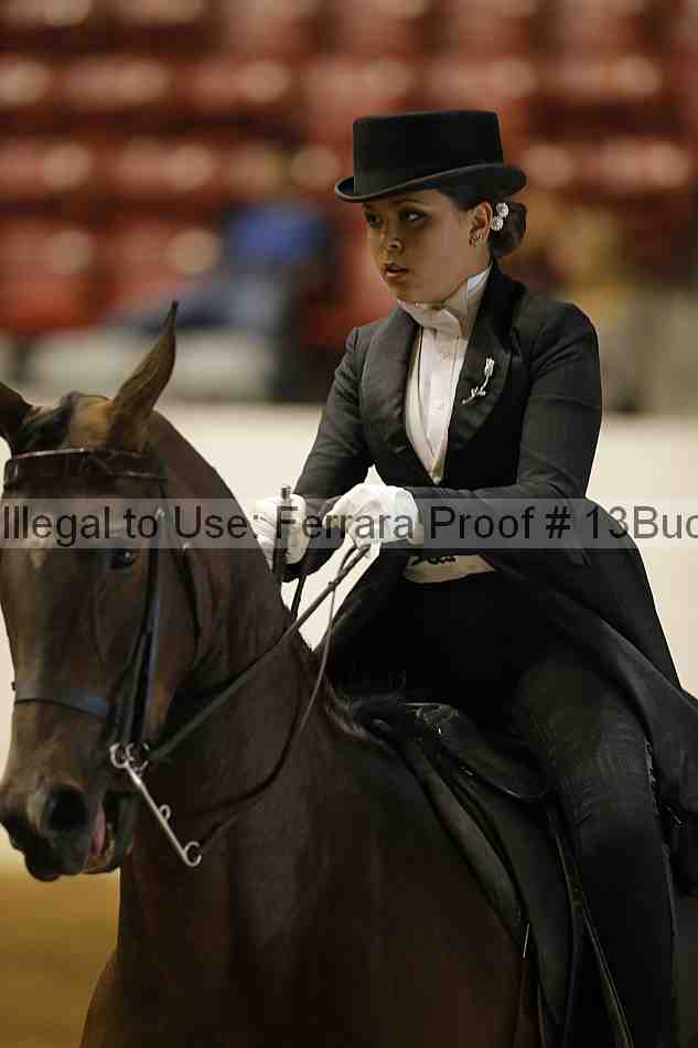 Proof 13buck_6088