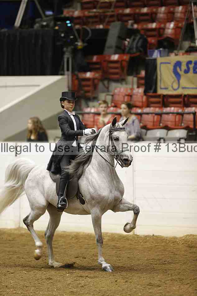 Proof 13buck_6091