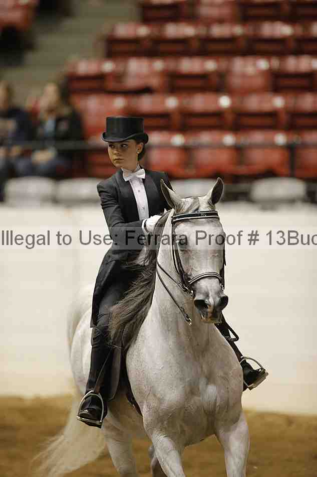 Proof 13buck_6092
