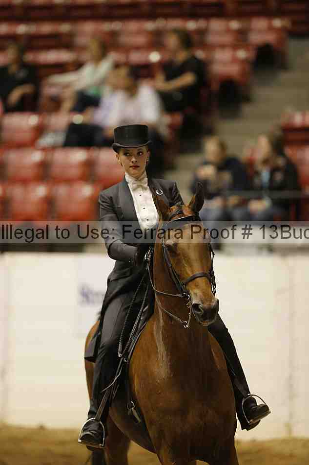 Proof 13buck_6093