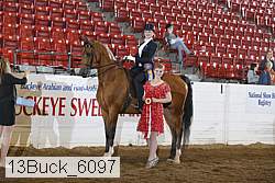 13buck_6097 proof