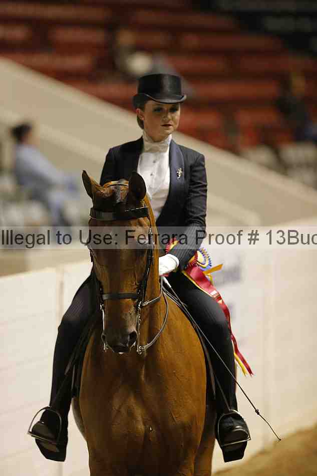 Proof 13buck_6100