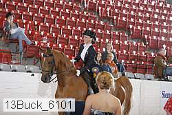 13buck_6101 proof