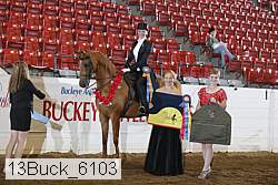 13buck_6103 proof