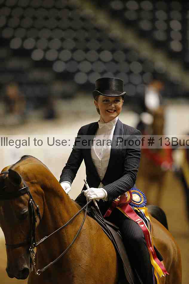 Proof 13buck_6105
