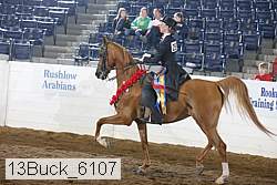 13buck_6107 proof