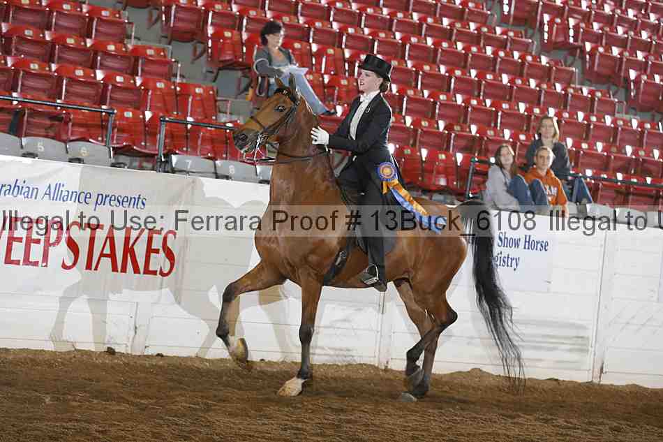 Proof 13buck_6108