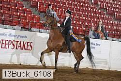 13buck_6108 proof