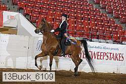 13buck_6109 proof