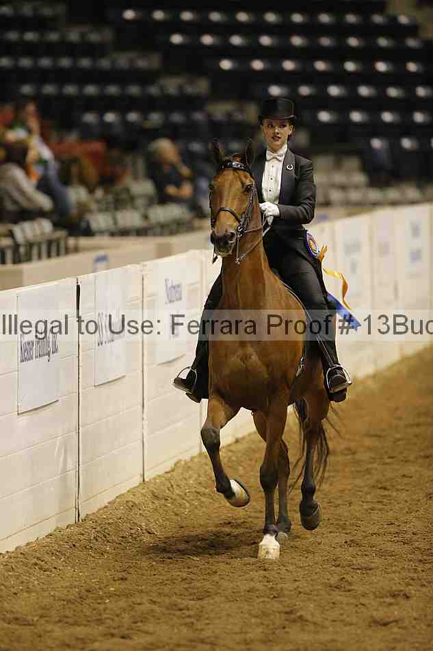 Proof 13buck_6110