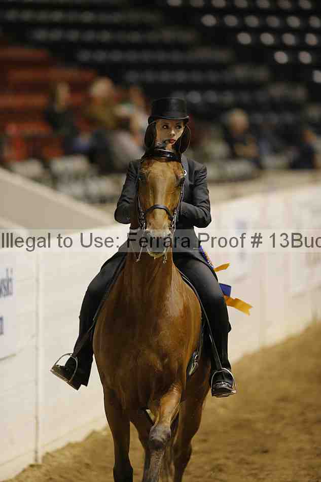 Proof 13buck_6111