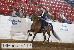13buck_6113 proof