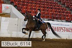 13buck_6114 proof