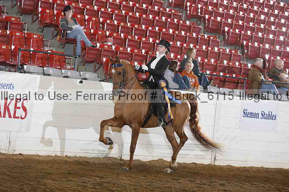 Proof 13buck_6115