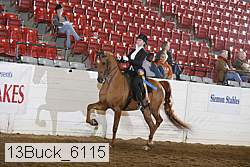13buck_6115 proof