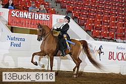 13buck_6116 proof
