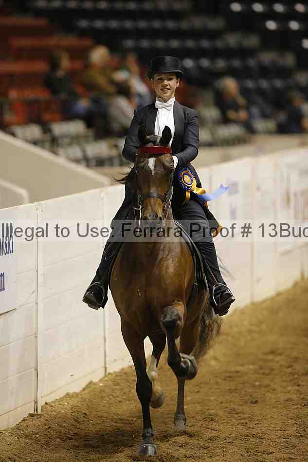 Proof 13buck_6119