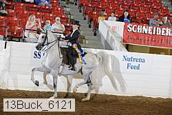 13buck_6121 proof