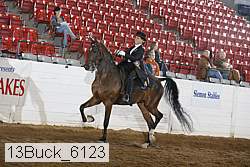 13buck_6123 proof