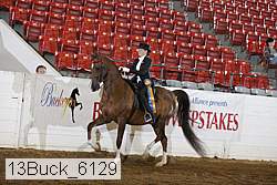 13buck_6129 proof