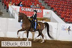 13buck_6131 proof