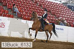 13buck_6132 proof