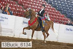 13buck_6134 proof