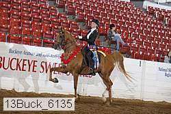 13buck_6135 proof