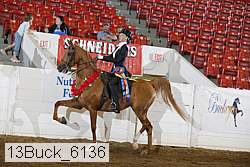 13buck_6136 proof