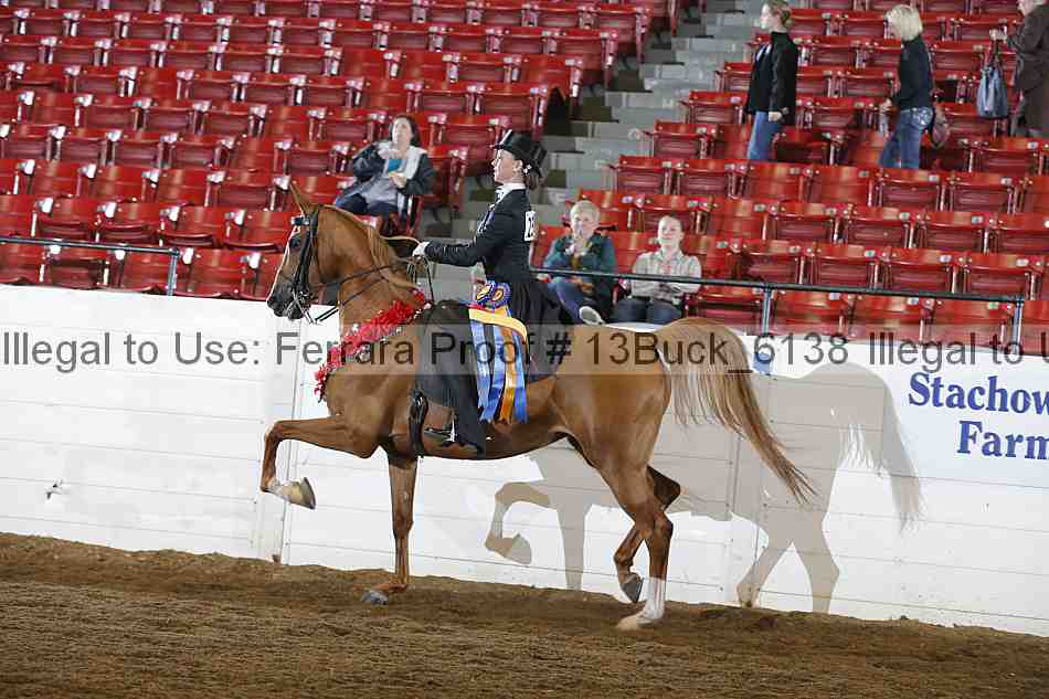 Proof 13buck_6138