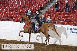 13buck_6138 proof