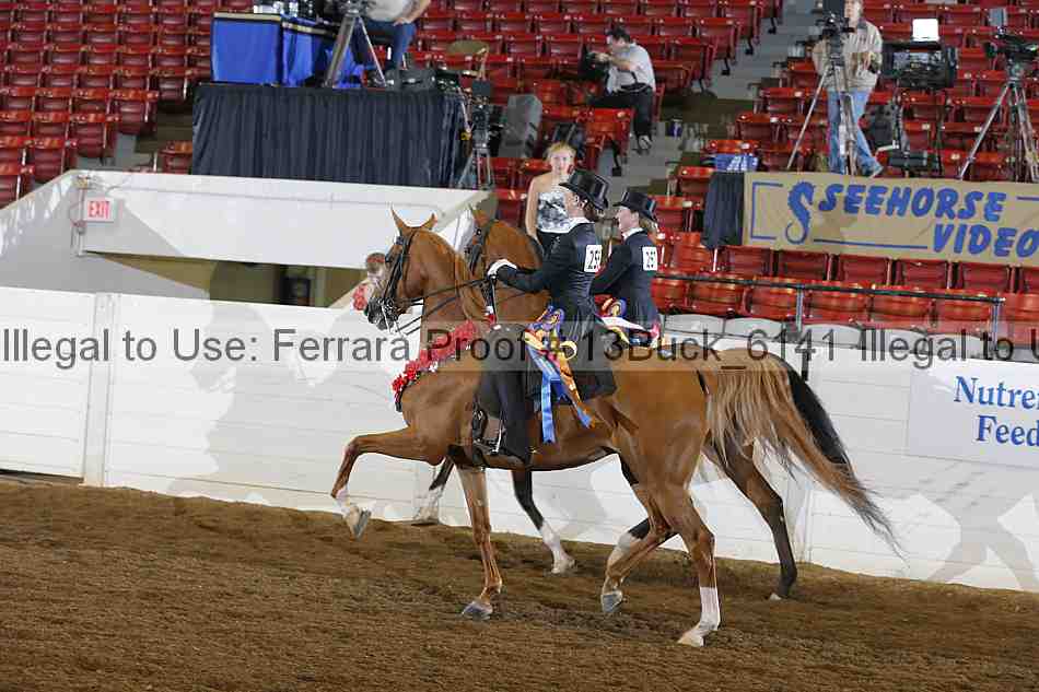 Proof 13buck_6141